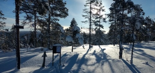 Månedens trimpost februar og månedens trimpost mars